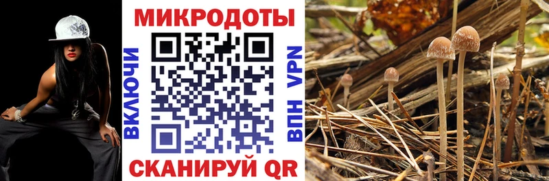 наркошоп  это наркотические препараты  Галлюциногенные грибы Psilocybine cubensis  Саянск 
