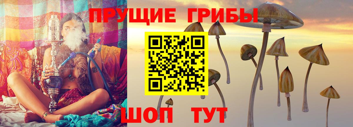 Саянск  Псилоцибиновые грибы мицелий  Вход с VPN 
